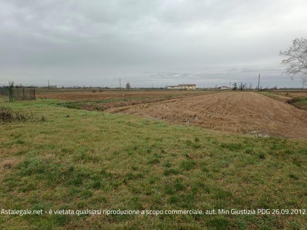terreno agricolo in vendita a Parona