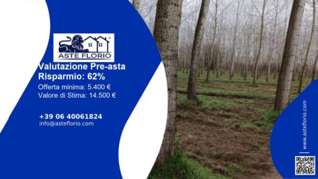 terreno agricolo in vendita a Parona