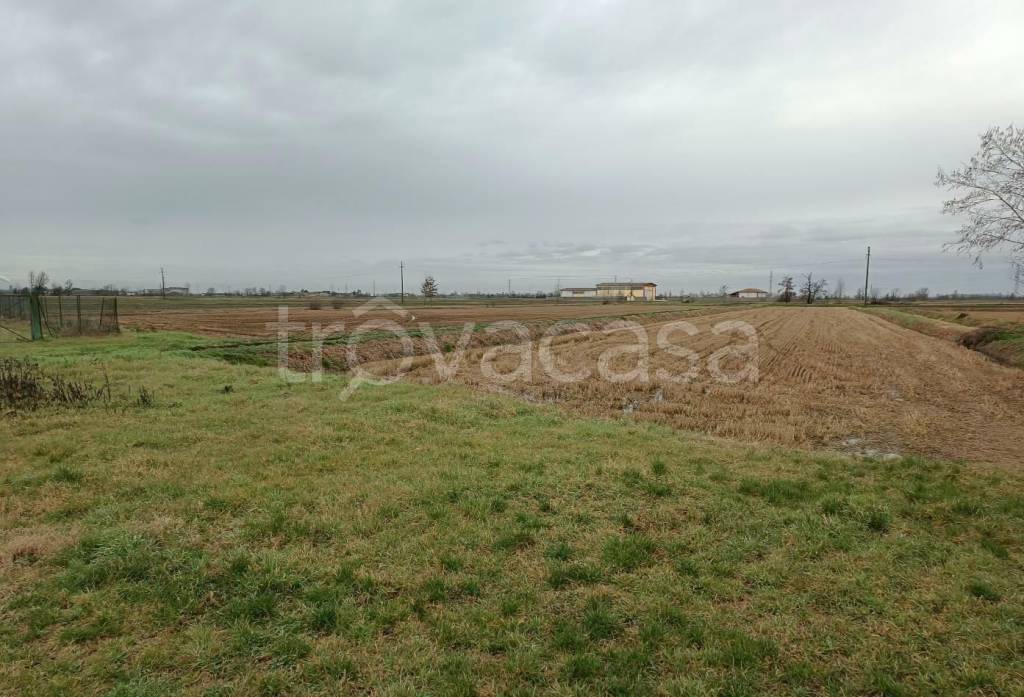 terreno agricolo in vendita a Parona