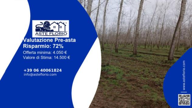 terreno agricolo in vendita a Parona