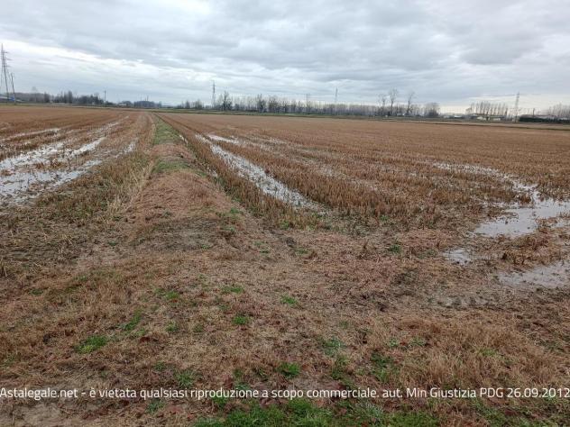 terreno agricolo in vendita a Parona