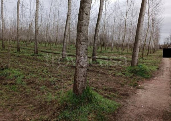 terreno edificabile in vendita a Parona