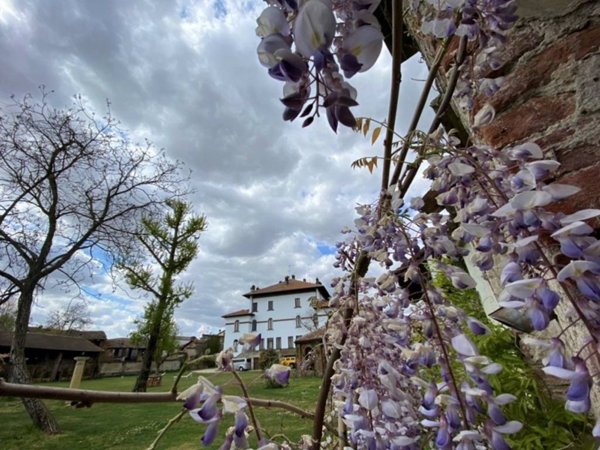 casa indipendente in vendita a Pavia in zona Borgo Ticino