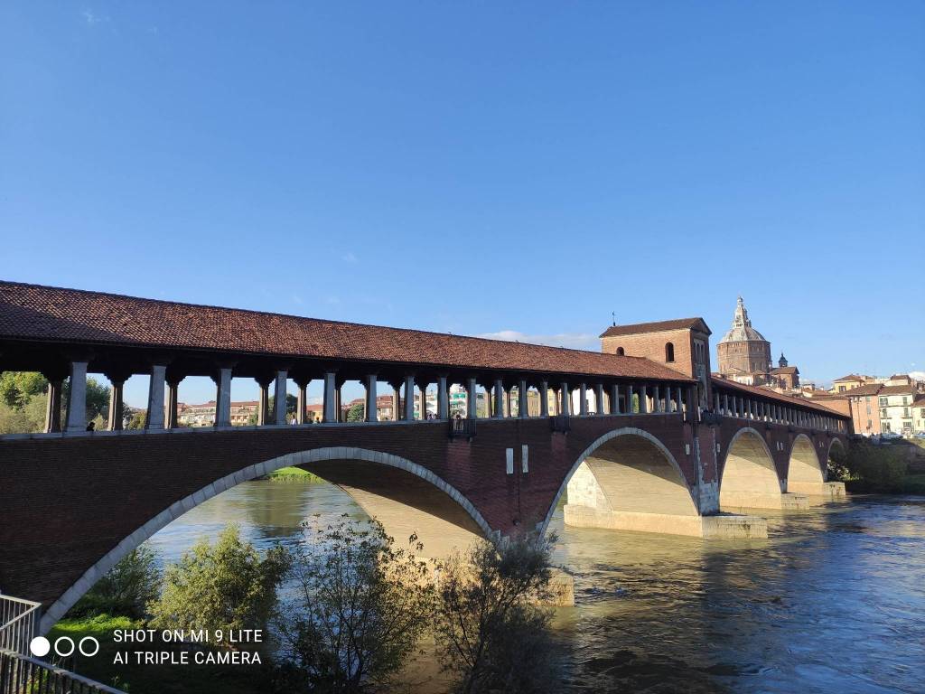appartamento in vendita a Pavia in zona Borgo Ticino