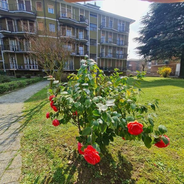 appartamento in vendita a Pavia in zona Città Giardino