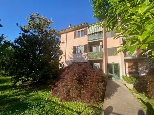 appartamento in vendita a Pavia in zona Mirabello
