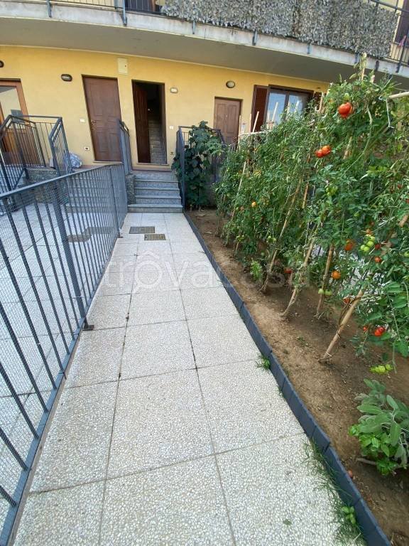 appartamento in vendita a Pavia in zona Campo Coni