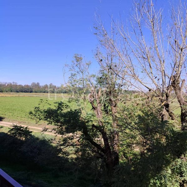 appartamento in vendita a Pavia in zona Chiozzo
