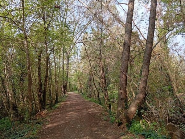 appartamento in vendita a Pavia in zona Città Giardino