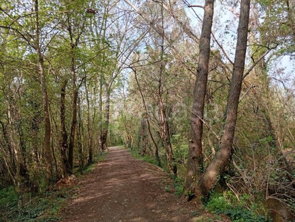 appartamento in vendita a Pavia in zona Torretta