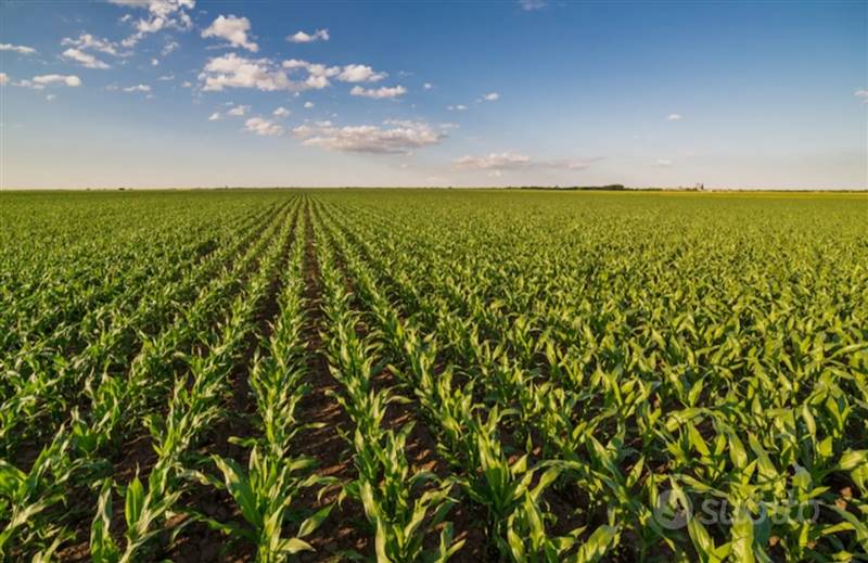 terreno agricolo in vendita a Pavia