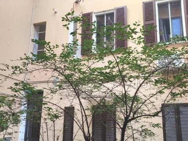 appartamento in vendita a Pavia in zona Centro Città