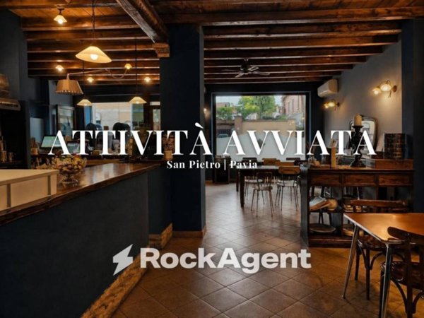 casa indipendente in vendita a Pavia in zona San Pietro