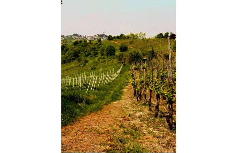 casa indipendente in vendita a Pietra de' Giorgi