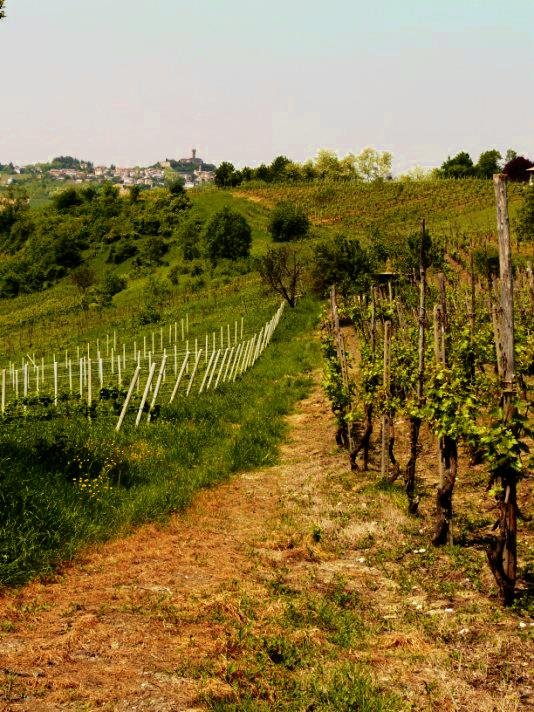 casa indipendente in vendita a Pietra de' Giorgi
