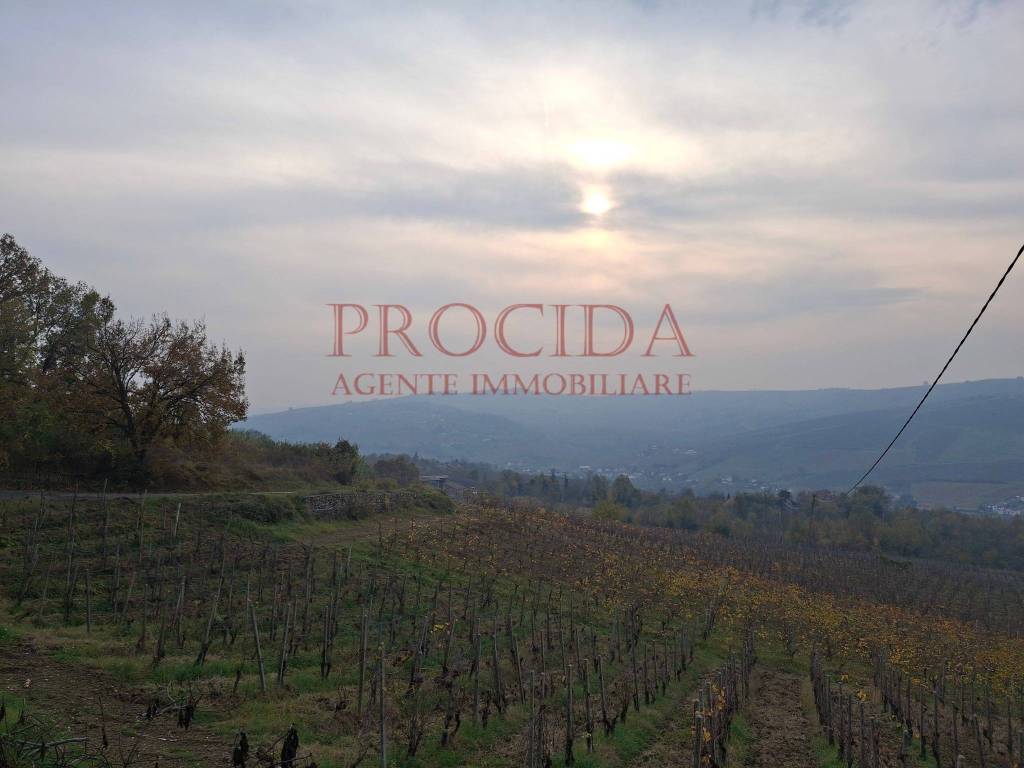 azienda agricola in vendita a Pietra de' Giorgi