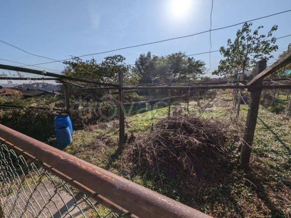 terreno agricolo in vendita a Lessolo