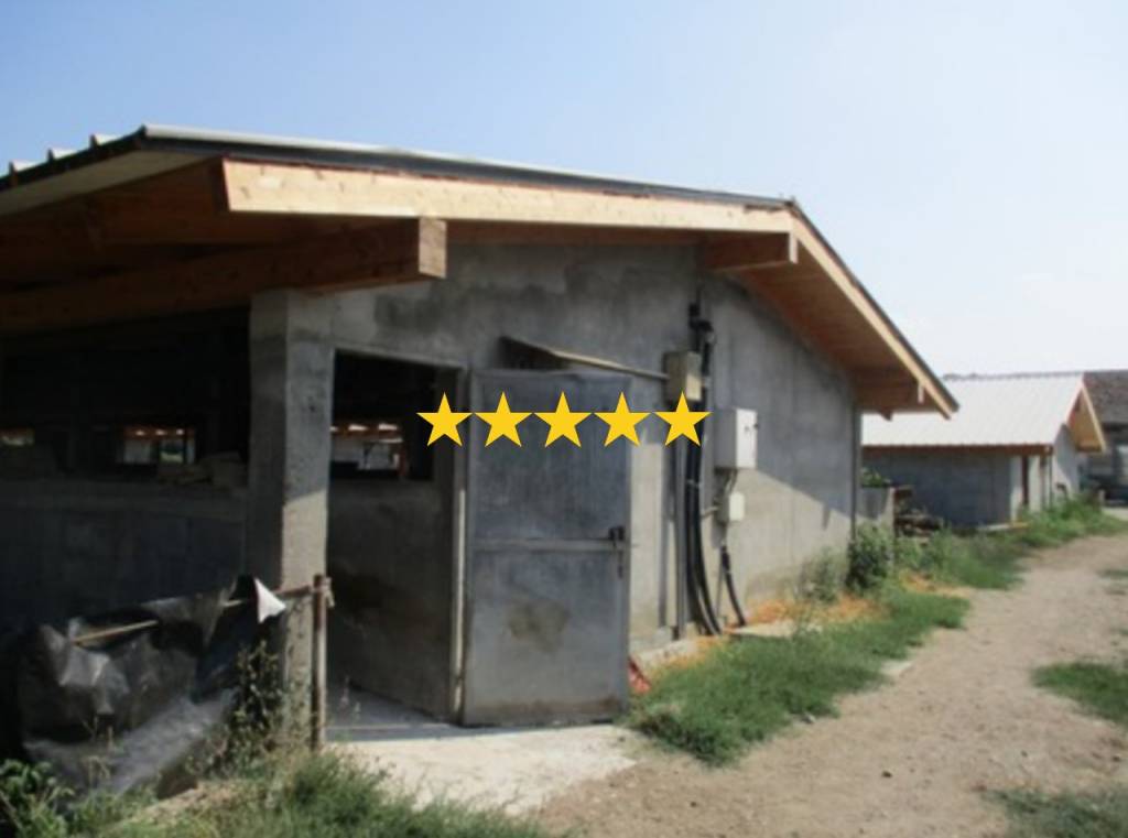 casa indipendente in vendita a Pieve del Cairo
