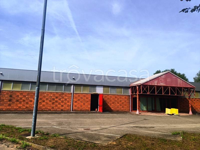 locale commerciale in vendita a Pieve del Cairo