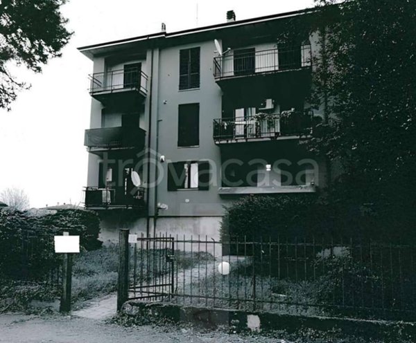 appartamento in vendita a Pieve del Cairo