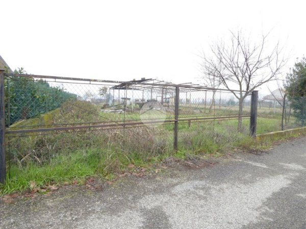 terreno agricolo in vendita a Pieve Porto Morone