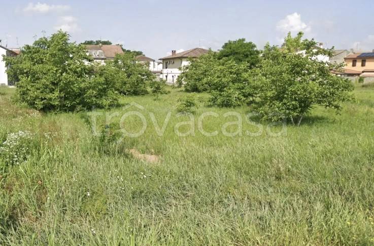 terreno edificabile in vendita a Pieve Porto Morone