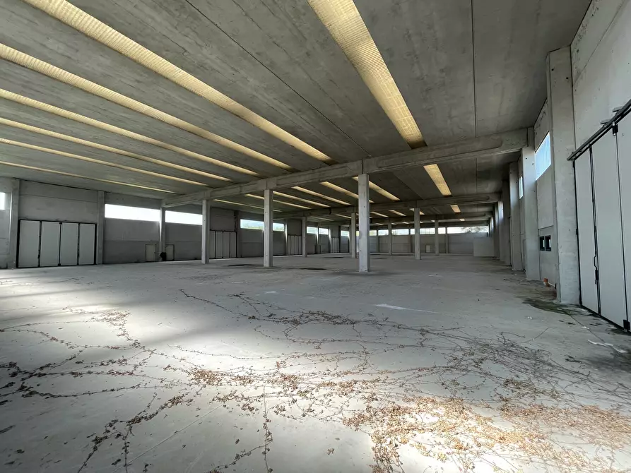 capannone in vendita a Pieve Porto Morone