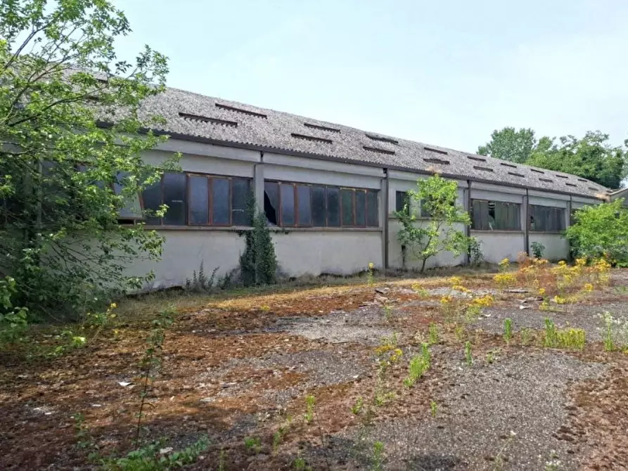 terreno edificabile in vendita a Pieve Porto Morone in zona Casoni