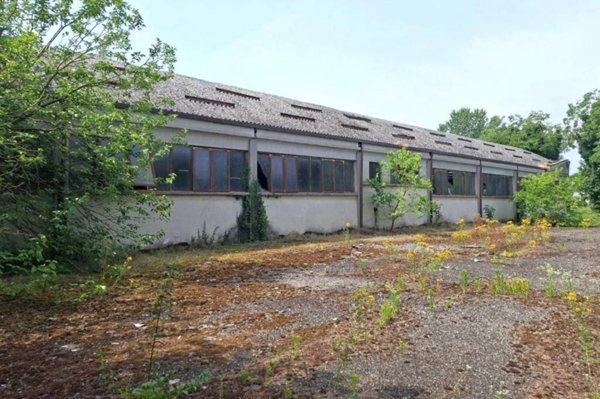 locale commerciale in vendita a Pieve Porto Morone in zona Casoni