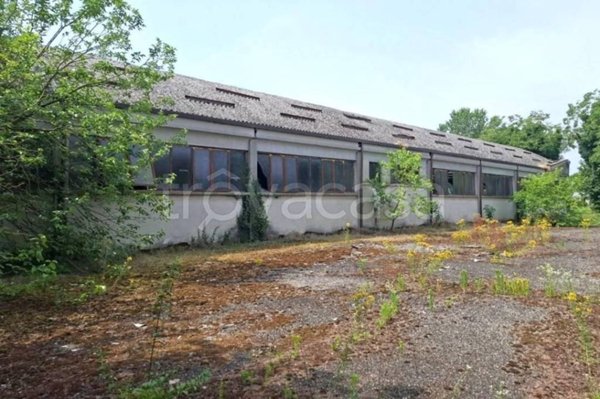locale commerciale in vendita a Pieve Porto Morone