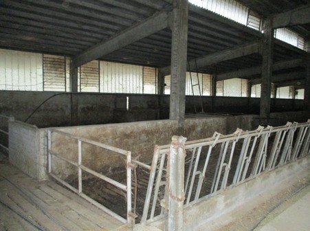locale di sgombero in vendita a Pinarolo Po