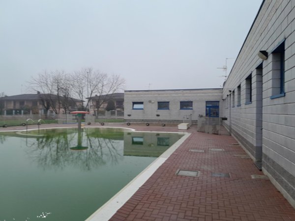 negozio in vendita a Pinarolo Po