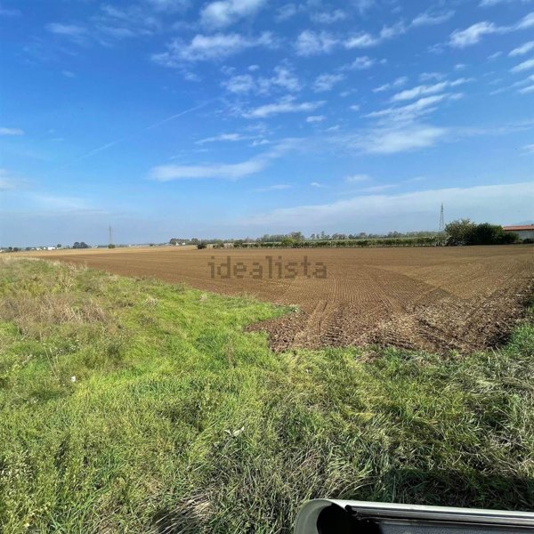 terreno agricolo in vendita a Retorbido