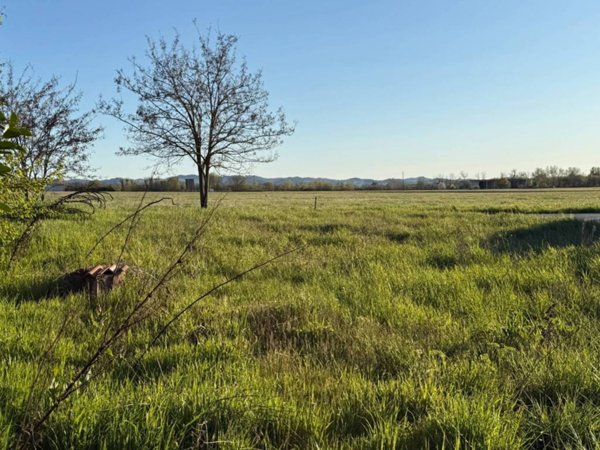 ufficio in vendita a Retorbido