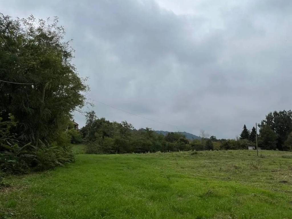 terreno agricolo in vendita a Rivanazzano Terme