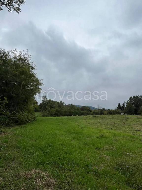 terreno agricolo in vendita a Rivanazzano Terme