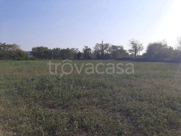 terreno agricolo in vendita a Rivanazzano Terme