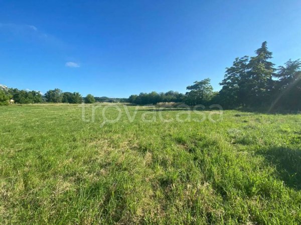 terreno agricolo in vendita a Rivanazzano Terme in zona Nazzano