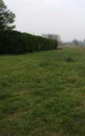 terreno edificabile in vendita a Rivanazzano Terme