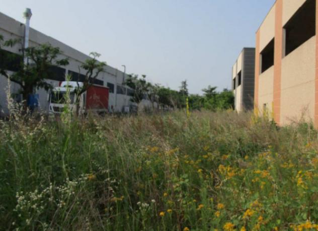 terreno agricolo in vendita a Rivanazzano Terme