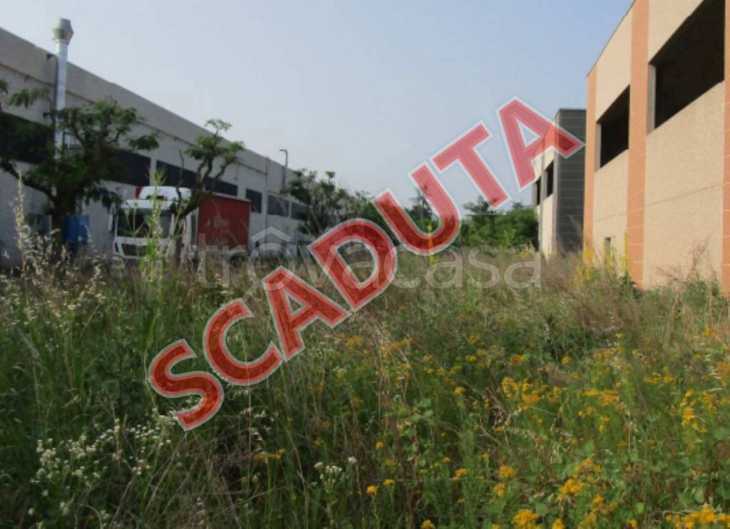 terreno agricolo in vendita a Rivanazzano Terme