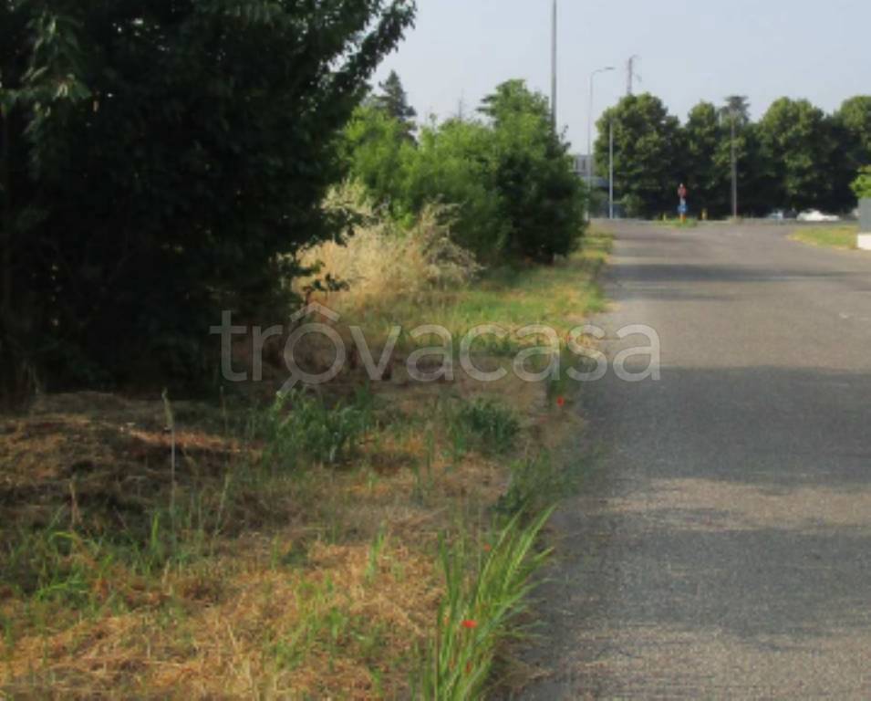 terreno agricolo in vendita a Rivanazzano Terme