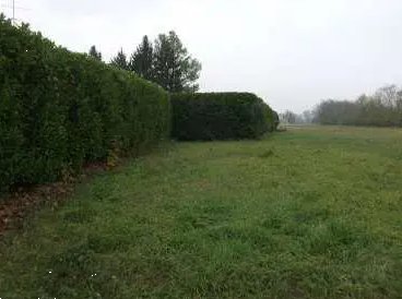 terreno agricolo in vendita a Rivanazzano Terme