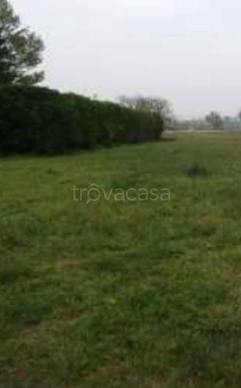 terreno edificabile in vendita a Rivanazzano Terme