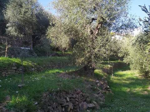 terreno agricolo in vendita a Rivanazzano Terme in zona Nazzano