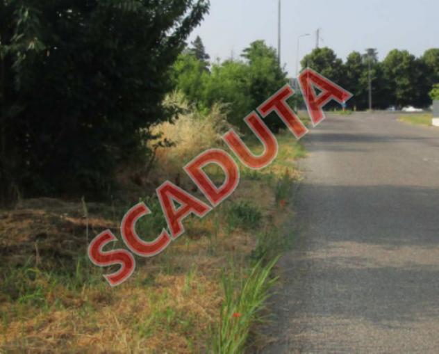 terreno agricolo in vendita a Rivanazzano Terme