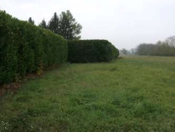 terreno agricolo in vendita a Rivanazzano Terme in zona Chioda