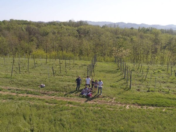 terreno agricolo in vendita a Rivanazzano Terme