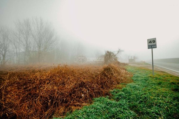 terreno agricolo in vendita a Robbio