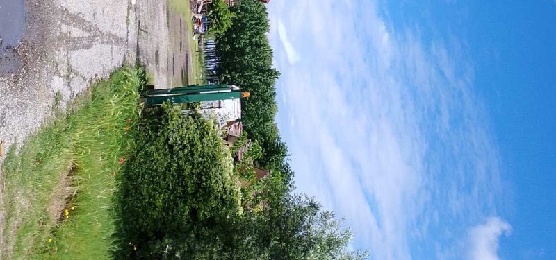 appartamento in vendita a Robbio